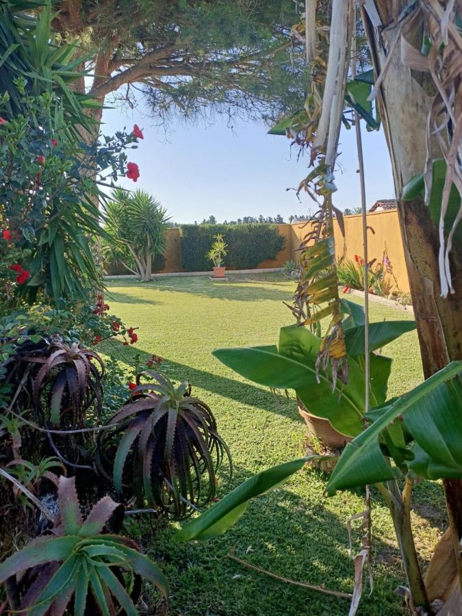 Villa Casa Manoli El Palmar de Vejer Exterior foto